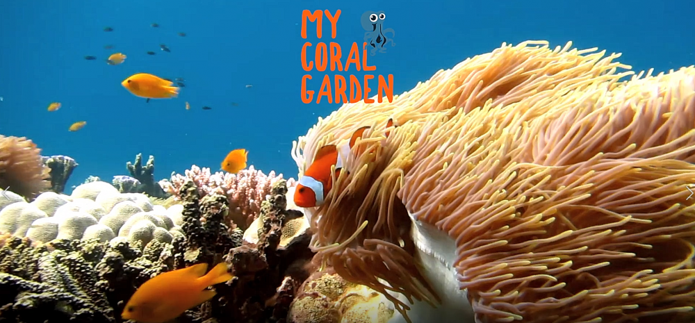 Company My Coral Garden