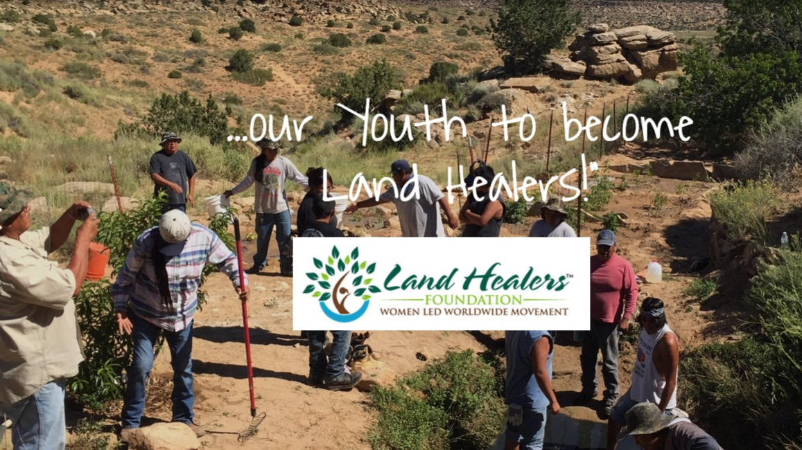 Company Landhealers Foundation