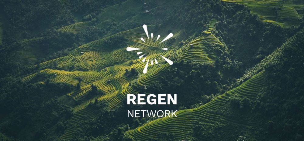 Company Regen Network