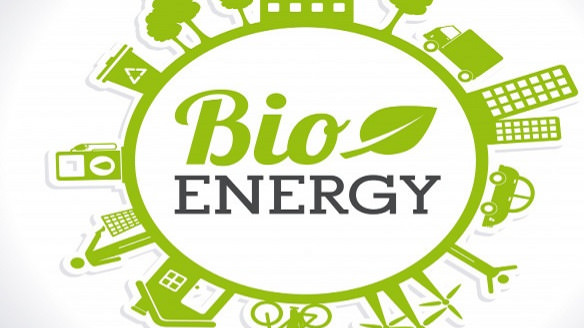 Company Biostar green solutions