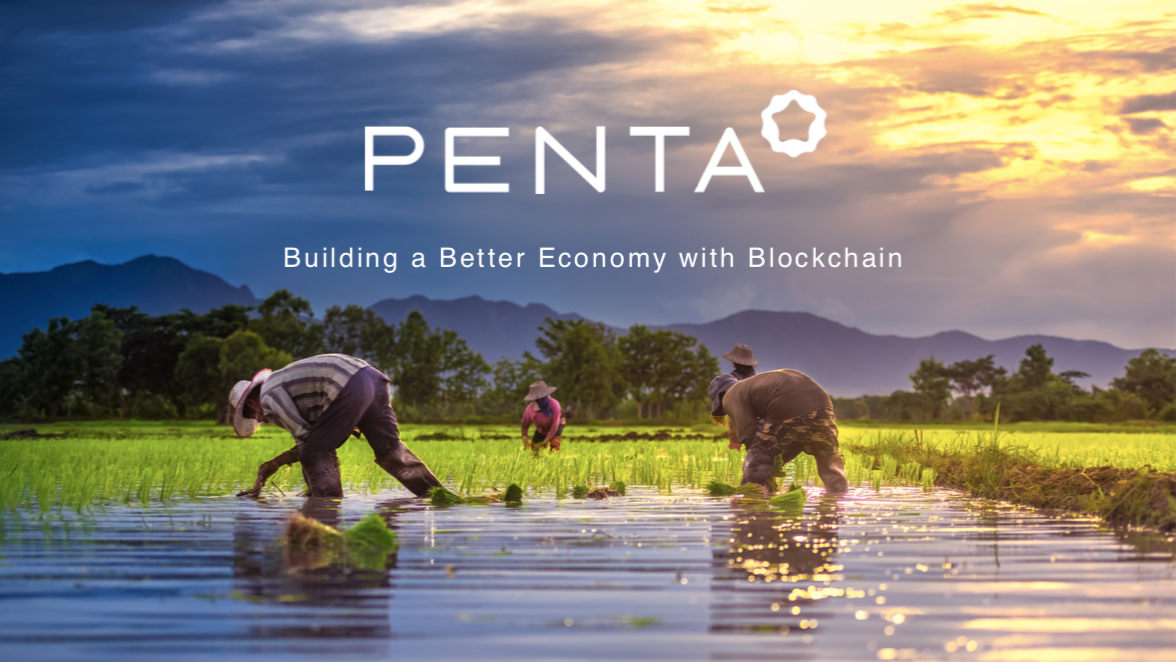 Company Penta Network