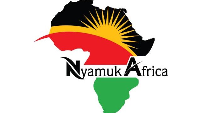 Company NyamukAfrica Solutions Limited