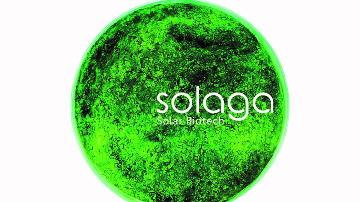 Company Solaga