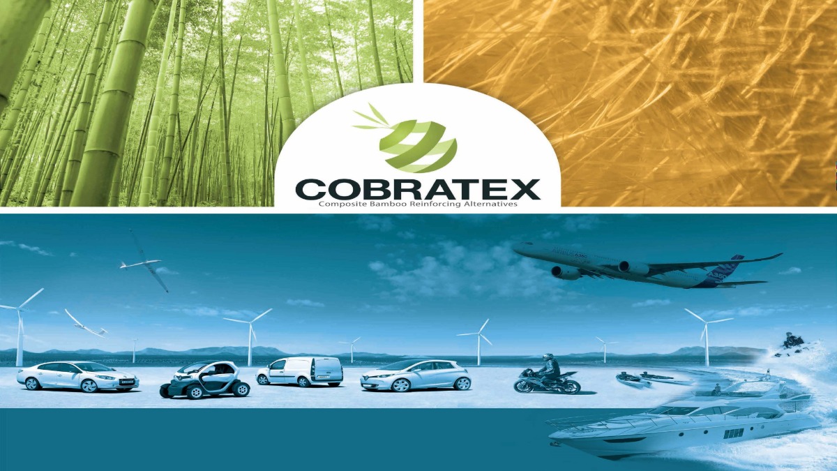 Company COBRATEX