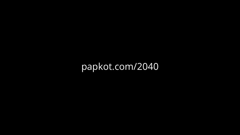 Company Papkot