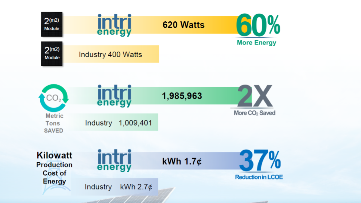 Company IntriEnergy Inc.