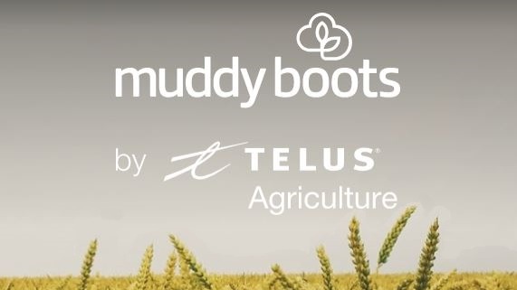 Company Muddy Boots Software Ltd