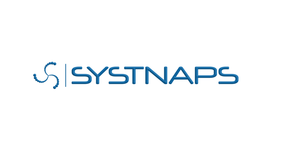 Company Systnaps