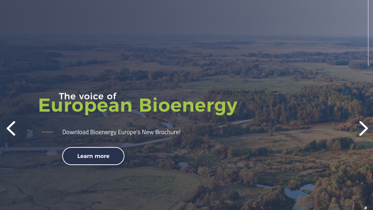 Company Bioenergy Europe