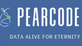 Company PearCode