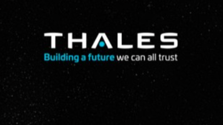 Company Thales AVS France