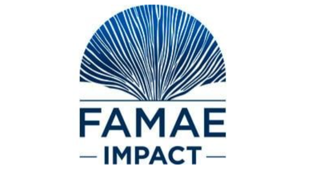 Company FAMAE Impact