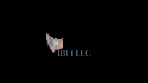 Company IBI1 LLC