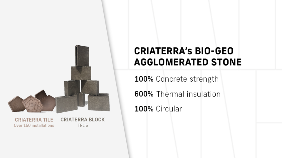 Company Criaterra