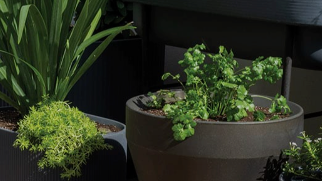 Company Dotchi LLC dba Crescent Garden Company