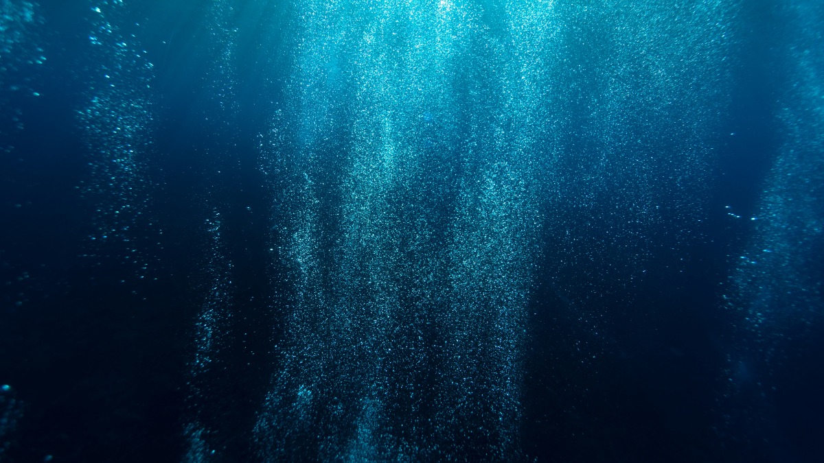 Company The Blue Economy AI