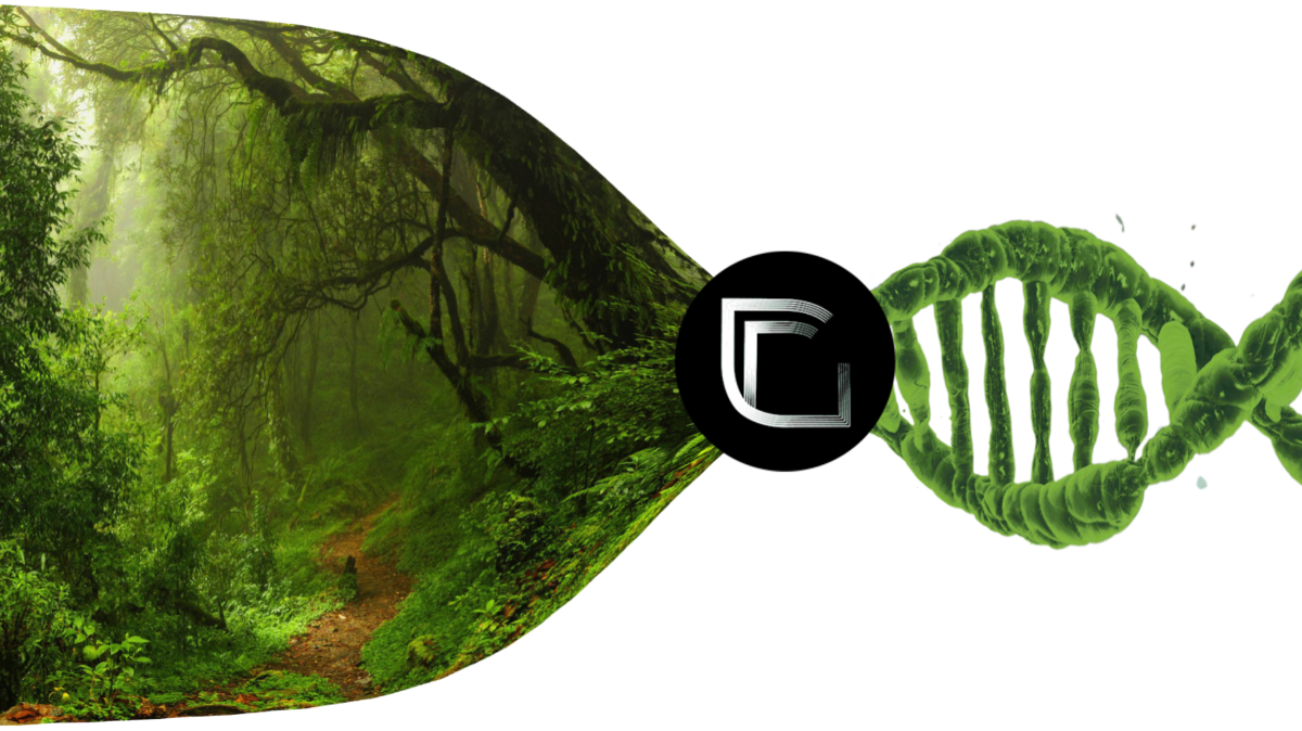 Company Genorobotics