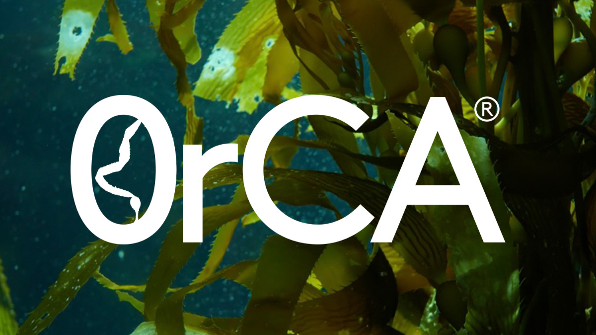 Company 0rCA®/Fishy Filaments Ltd