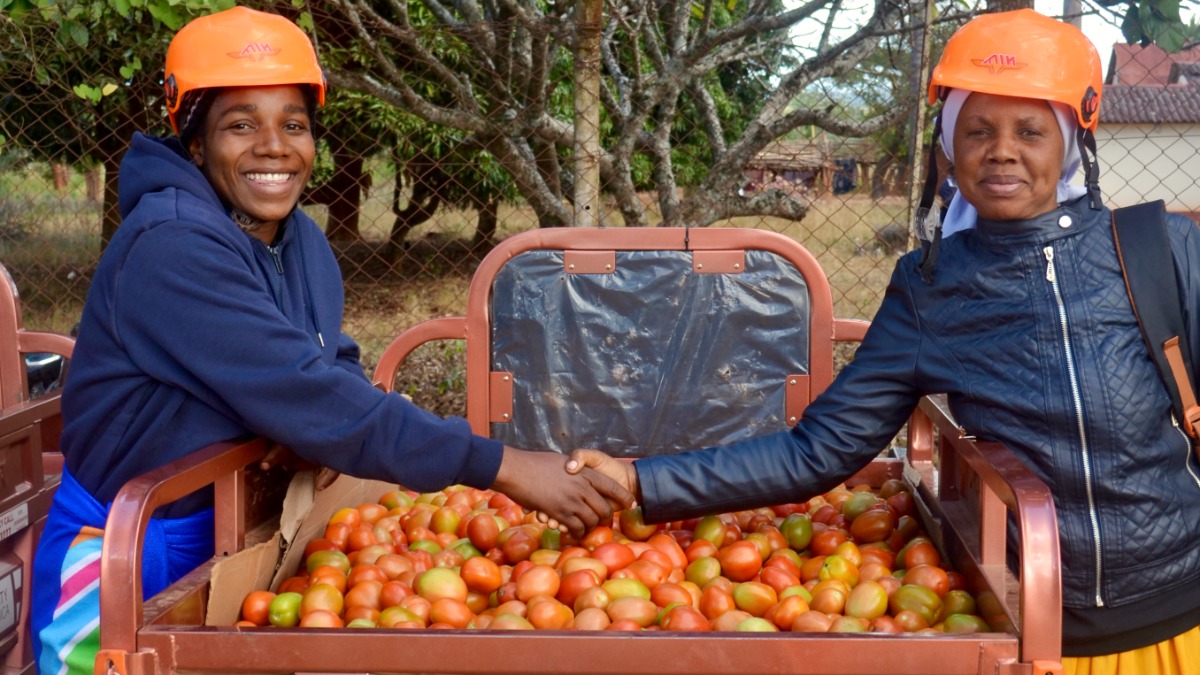 Company Mobility for Africa