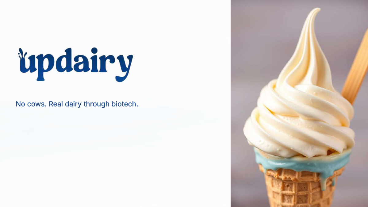 Company Updairy