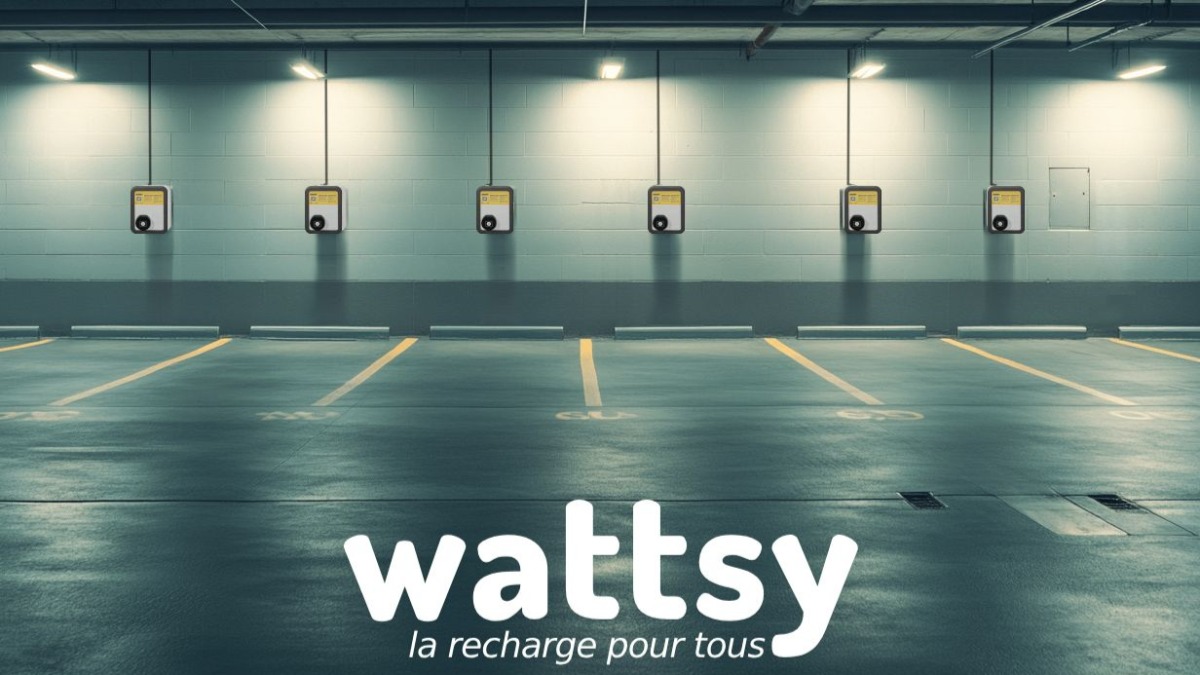Company Wattsy