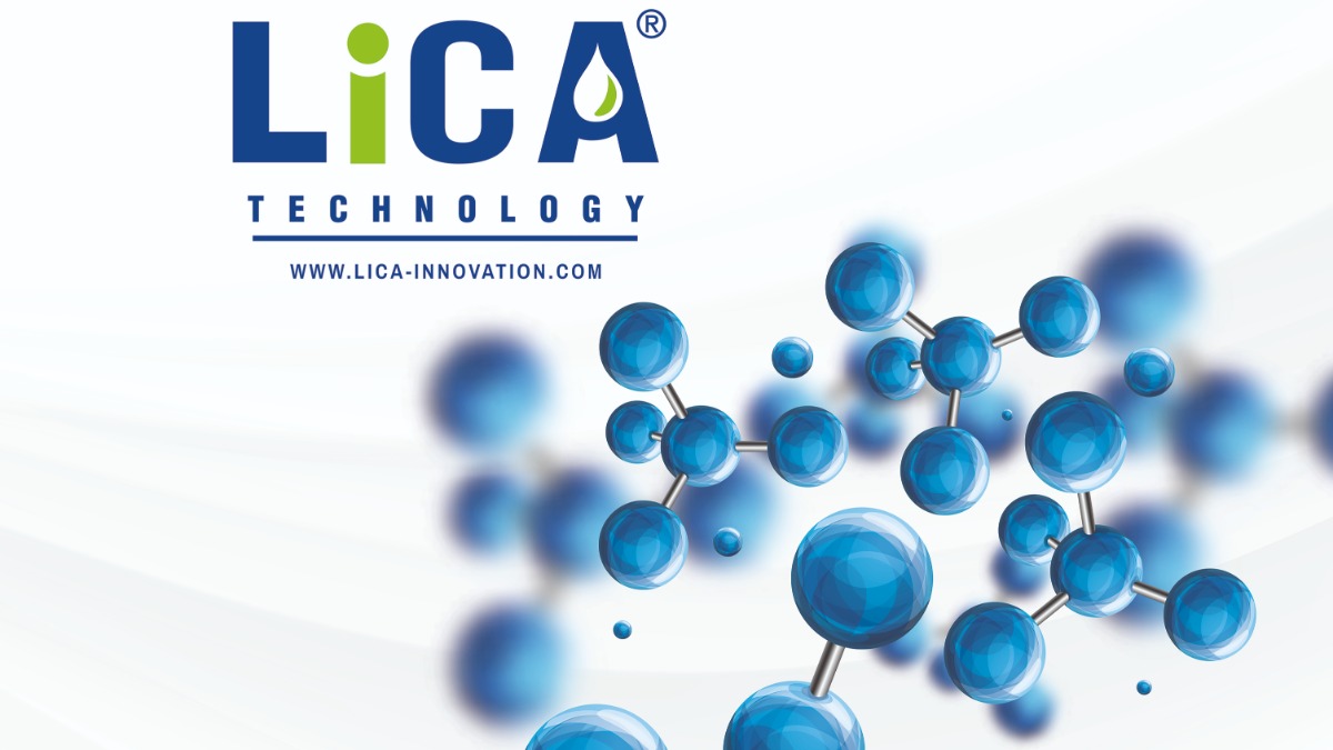 Company LiCA SARL