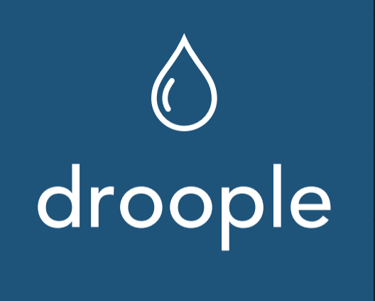 Logo Droople