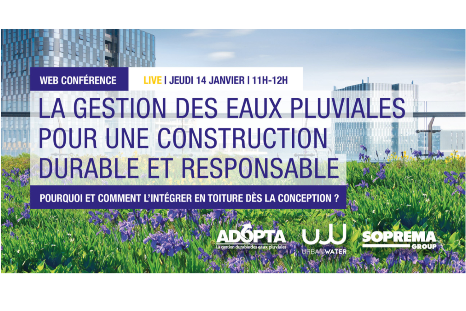 La Gestion des Eaux Pluviales pour une construction durable et responsable