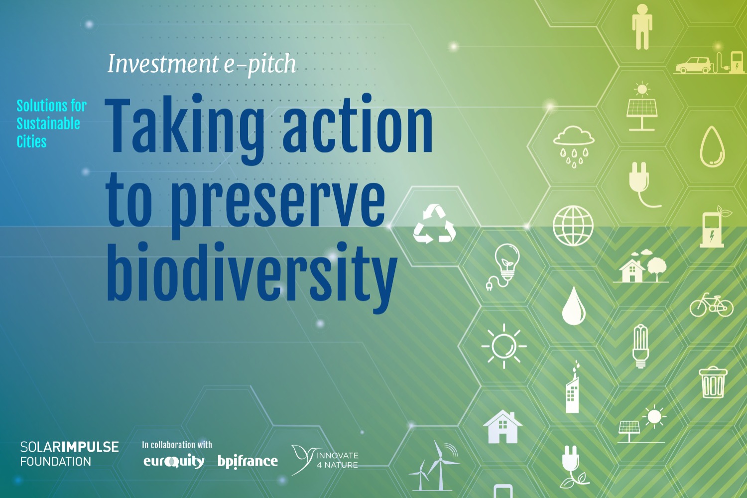 Taking action to preserve biodiversity in collaboration with Innovate 4 Nature