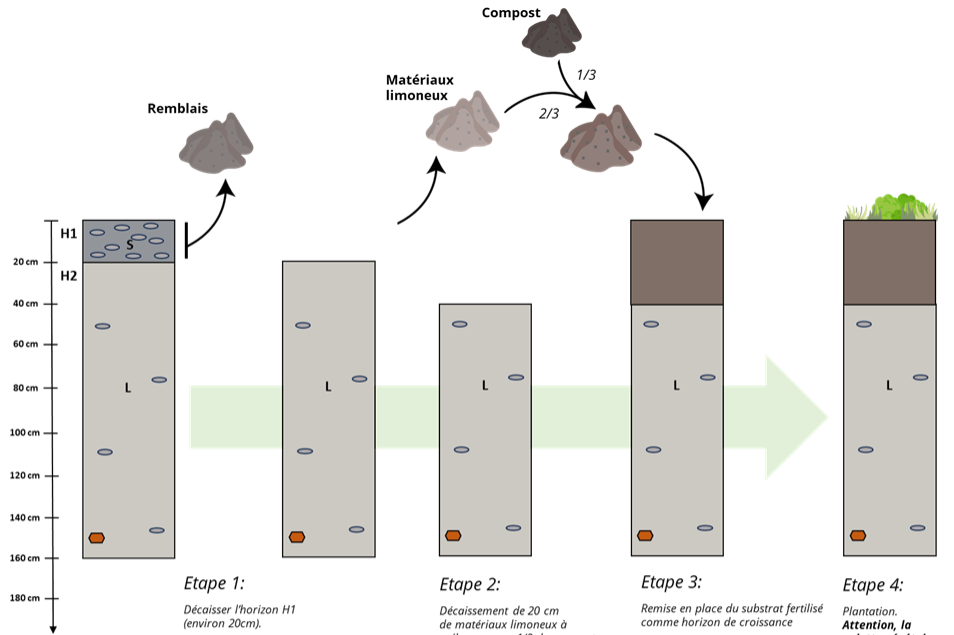 story image