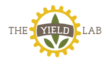 Investment The Yield Lab