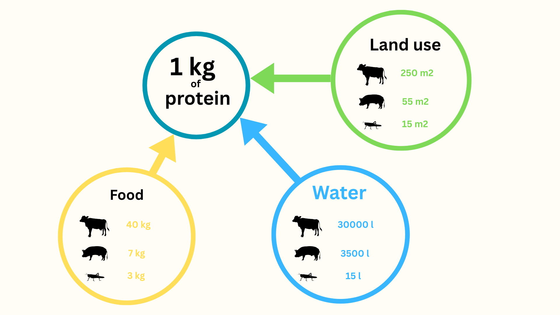Can Other Protein Sources Match Insects? – EatSens.com
