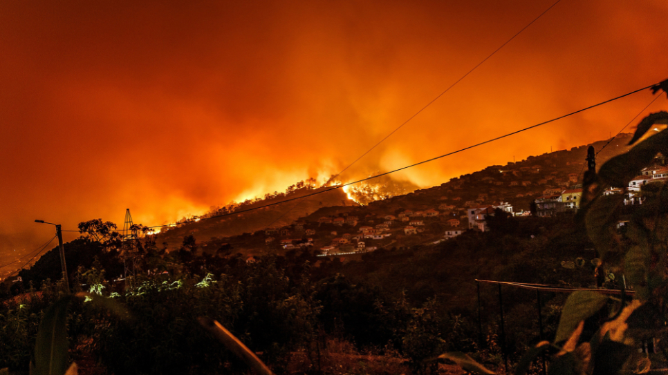 Ein Flächenbrand auf Madeira, Portugal