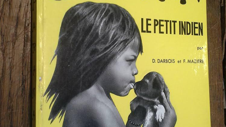 Who will save Paraná?