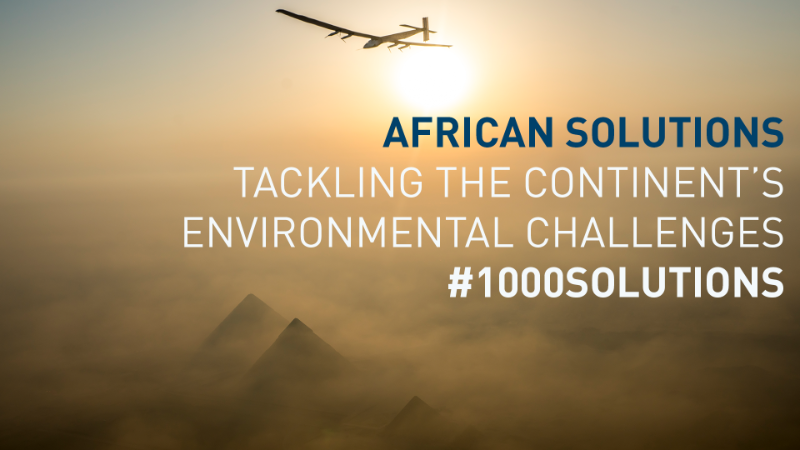 Des solutions africaines pour relever les défis environnementaux du continent