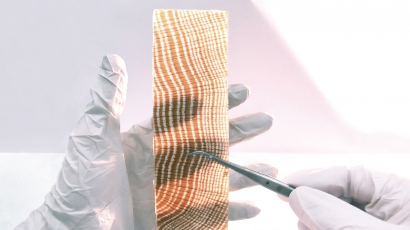 Woodoo: a madeira é o novo betão