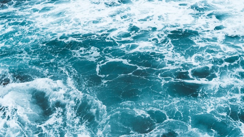 World Oceans Day: solutions to protect our oceans!