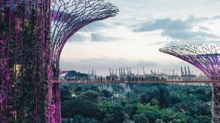 L'innovation inspirée par la nature pour une énergie durable