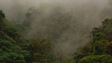 NetZero’s Carbon Removal Biochar Tech Earns $15M at Global XPRIZE Challenge