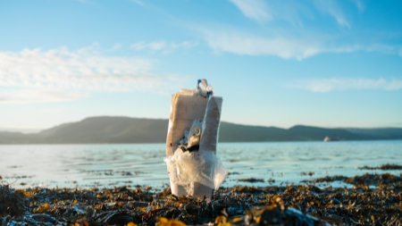 Luglio senza plastica; le nostre soluzioni per combattere l'inquinamento da...