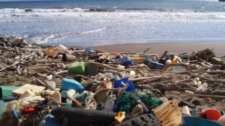 Turning Ocean Preservation into an Economic Windfall