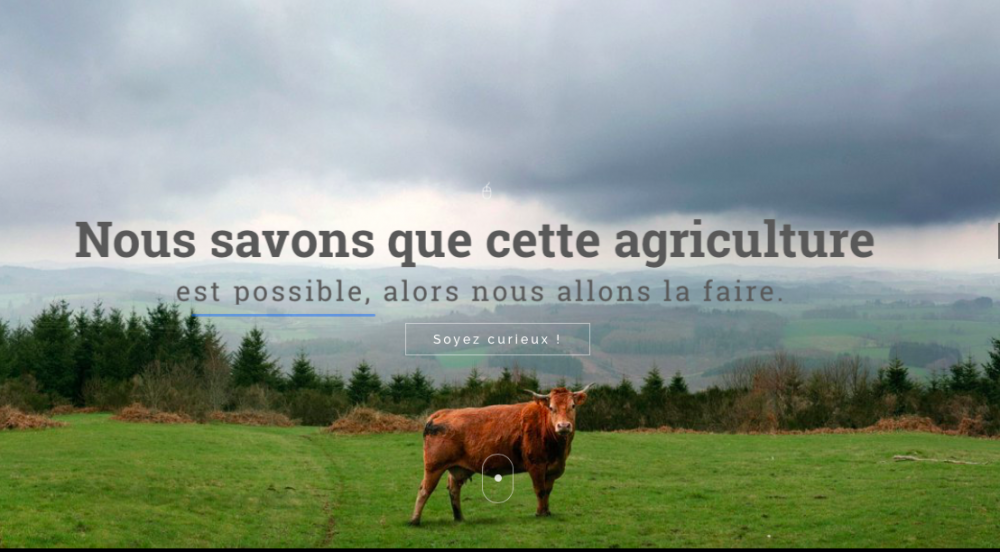 Offer Produce more and better with less