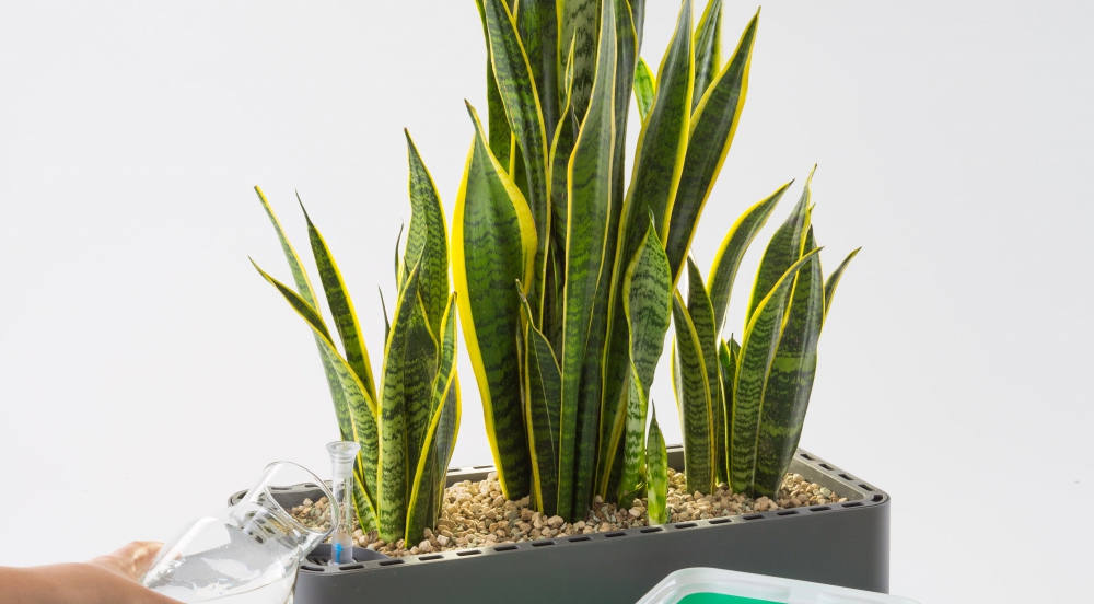 Offer Clean, fresh air inside your house or office