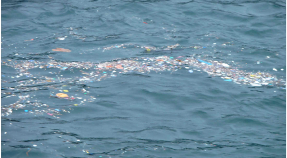 Offer Regenerative Oceanic Biomimetic Robotics-ROBiotics-