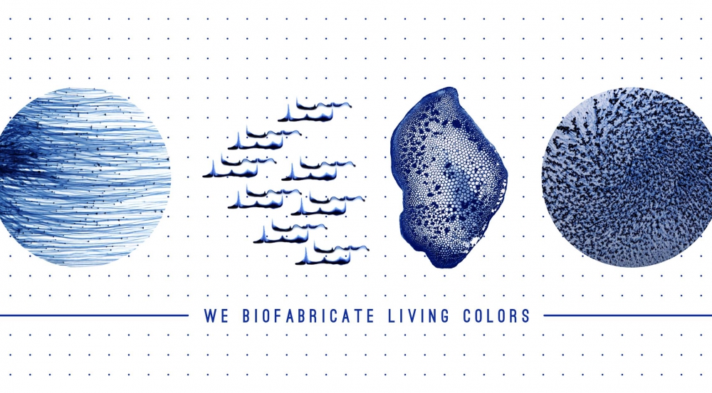Offer PILI biotech dyes and pigments