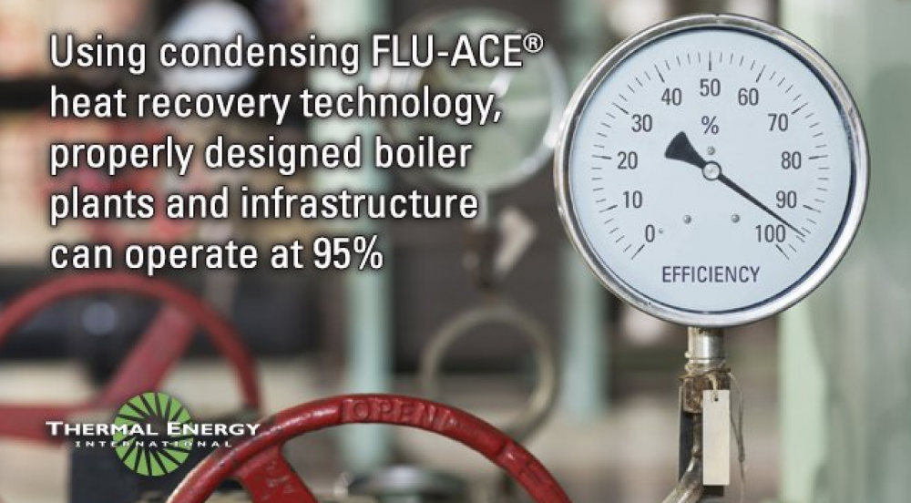 Offer Flue-Ace