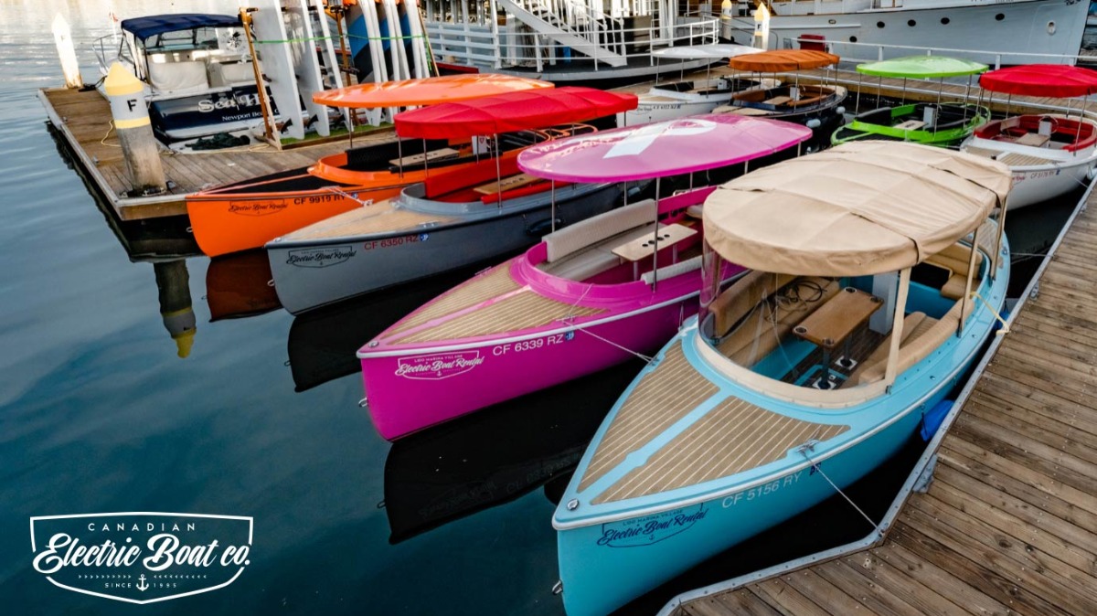 Offer Fantail 217