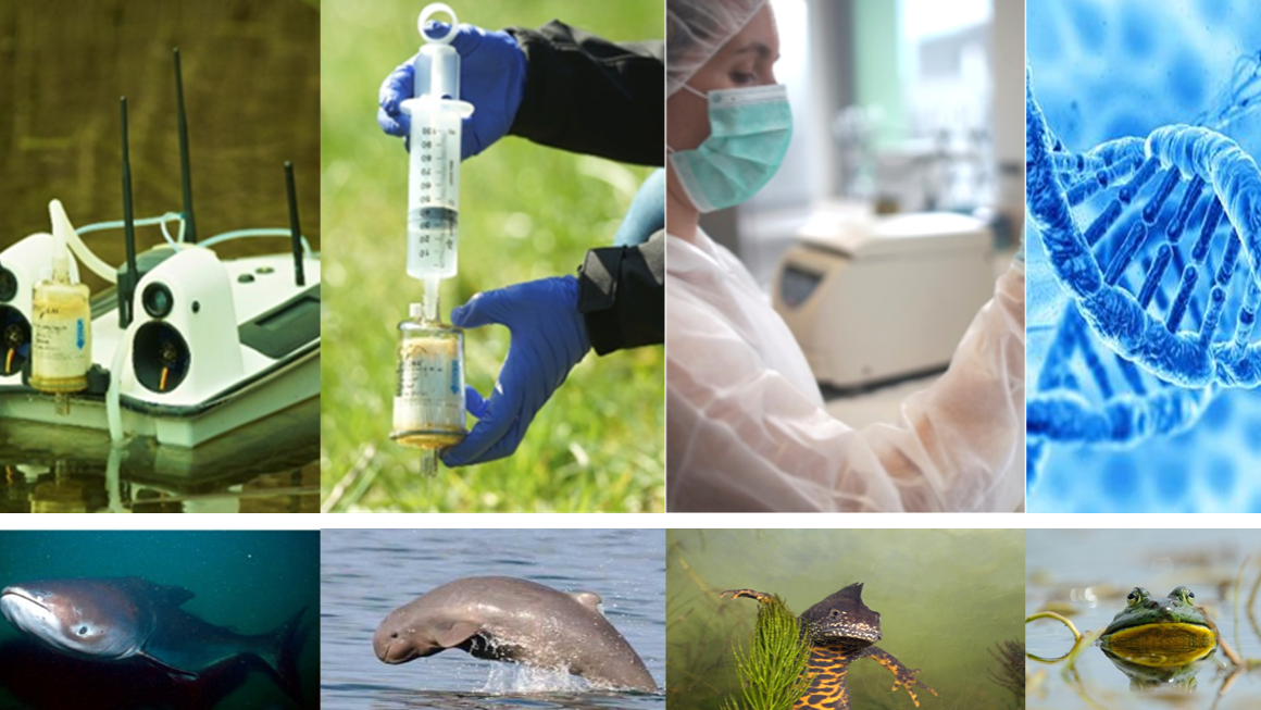 Offer Global biodiversity monitoring