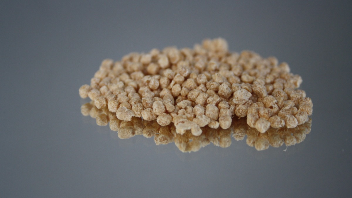 Offer POND BIO GRANULATE