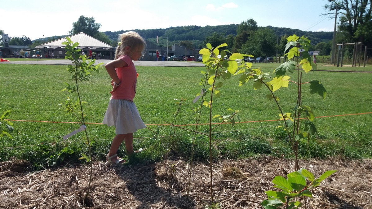 Offer Créer des forêts urbaines participatives.